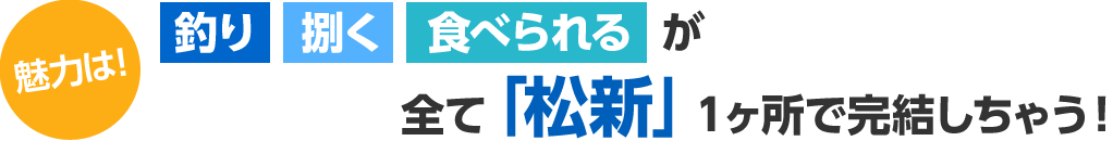 魅力は！釣り・捌く・食べれるが全て「松新」１ヶ所で完結しちゃう！