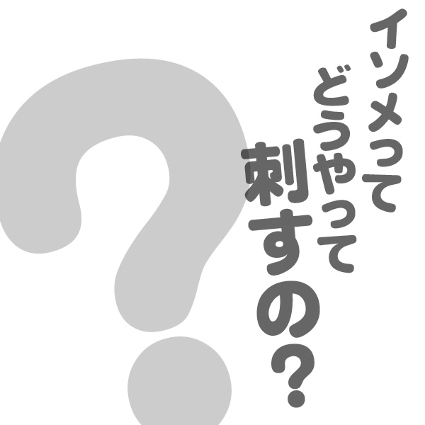 イソメの針付けの仕方は？