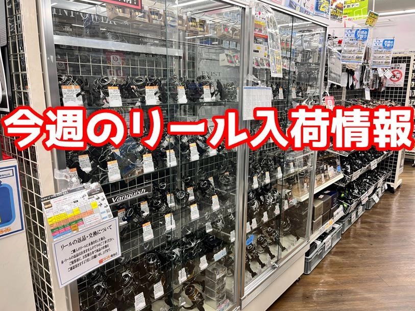 今週のリール入荷情報！