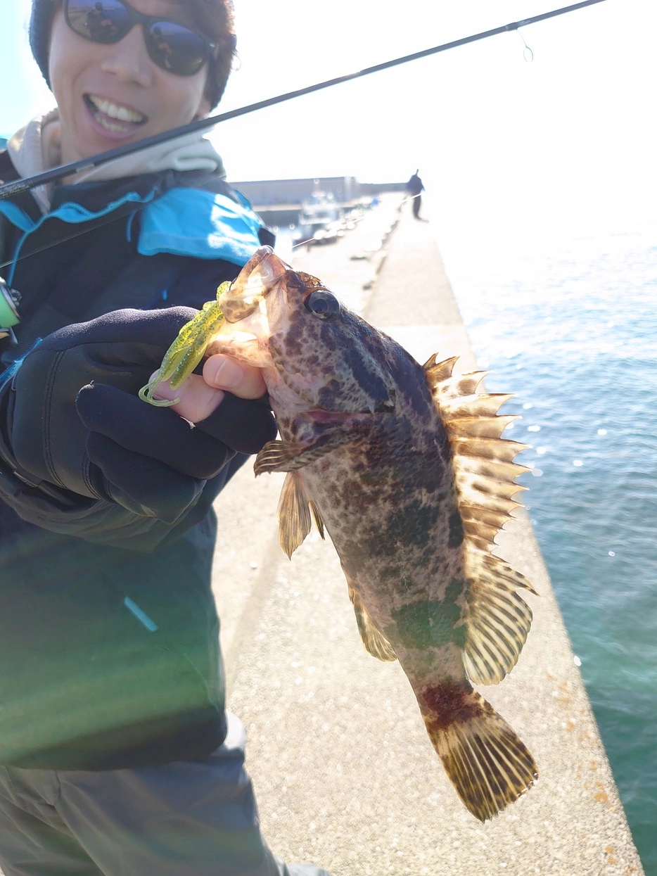 カサゴ・タケノコメバルなどの根魚も良く釣れます！