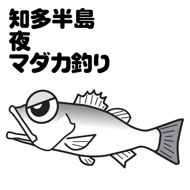 知多 夜マダカ釣り＜深掘り＞