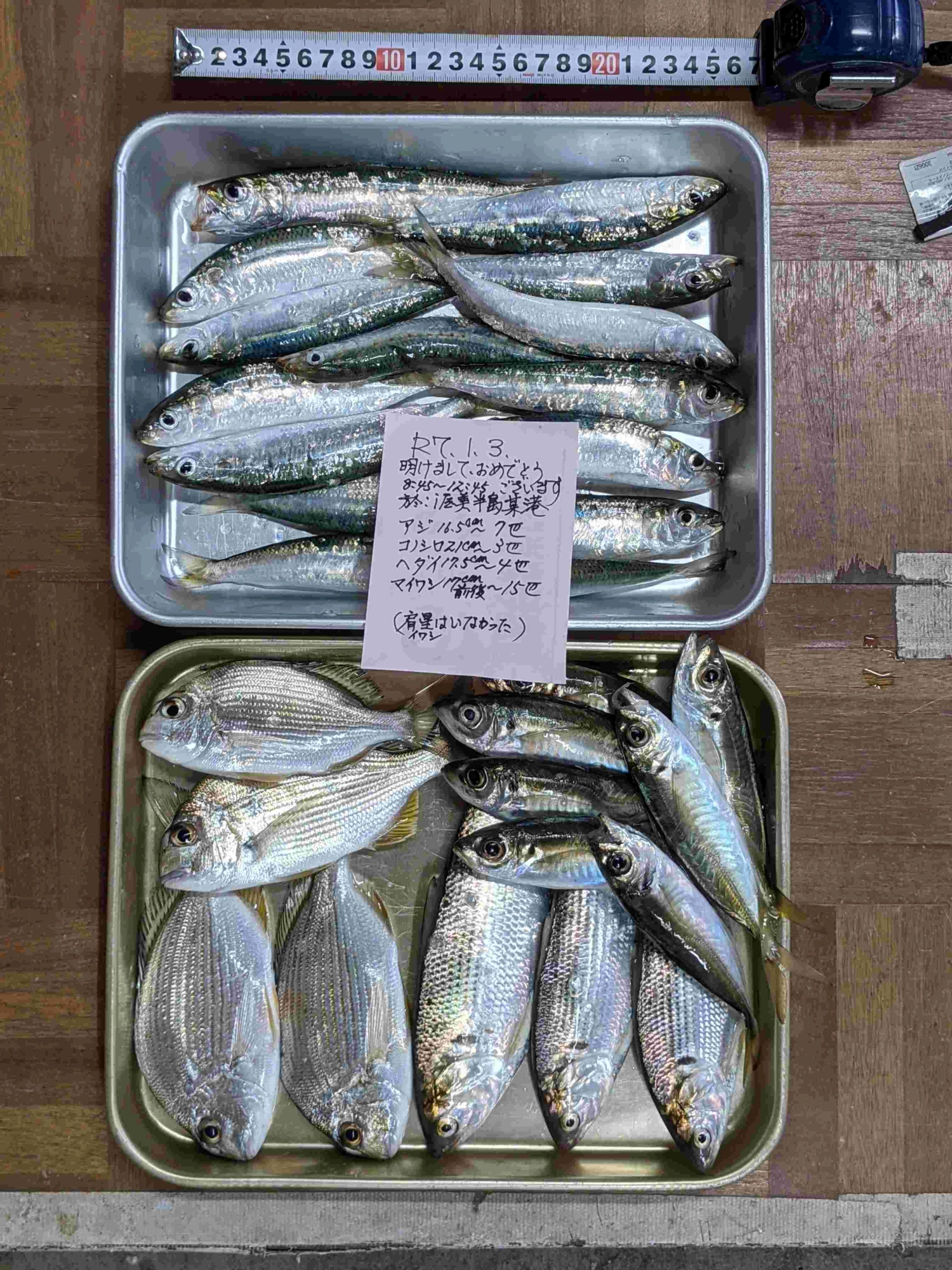 エサ籠釣りよりチョイ投げカラサビキ！？