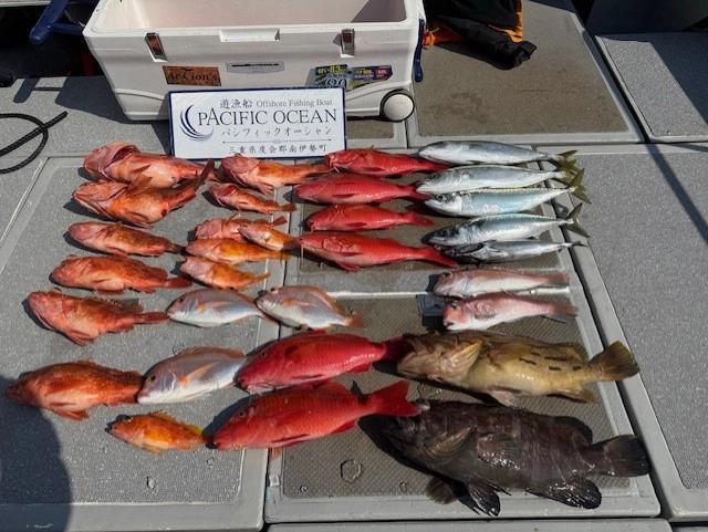 多彩な魚が狙えるのがスピネギの特徴です！