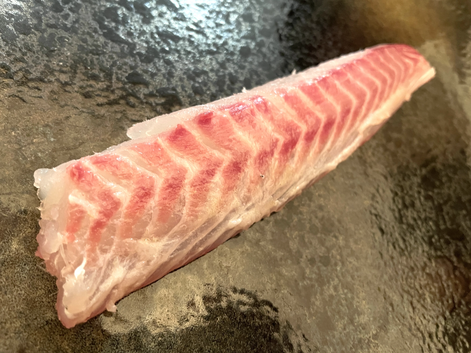 大山沖のイサキは脂がノリッノリ！刺身か炙りがオススメです！