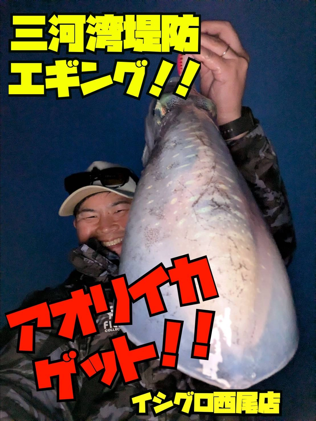 三河湾アオリイカ