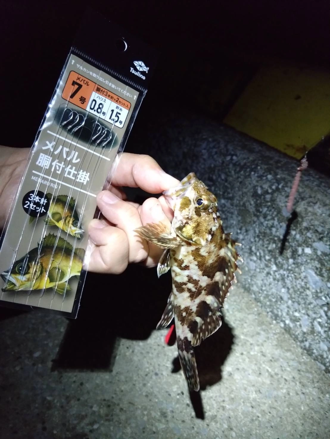 メバルやカサゴの胴突き仕掛けで探り歩きました。