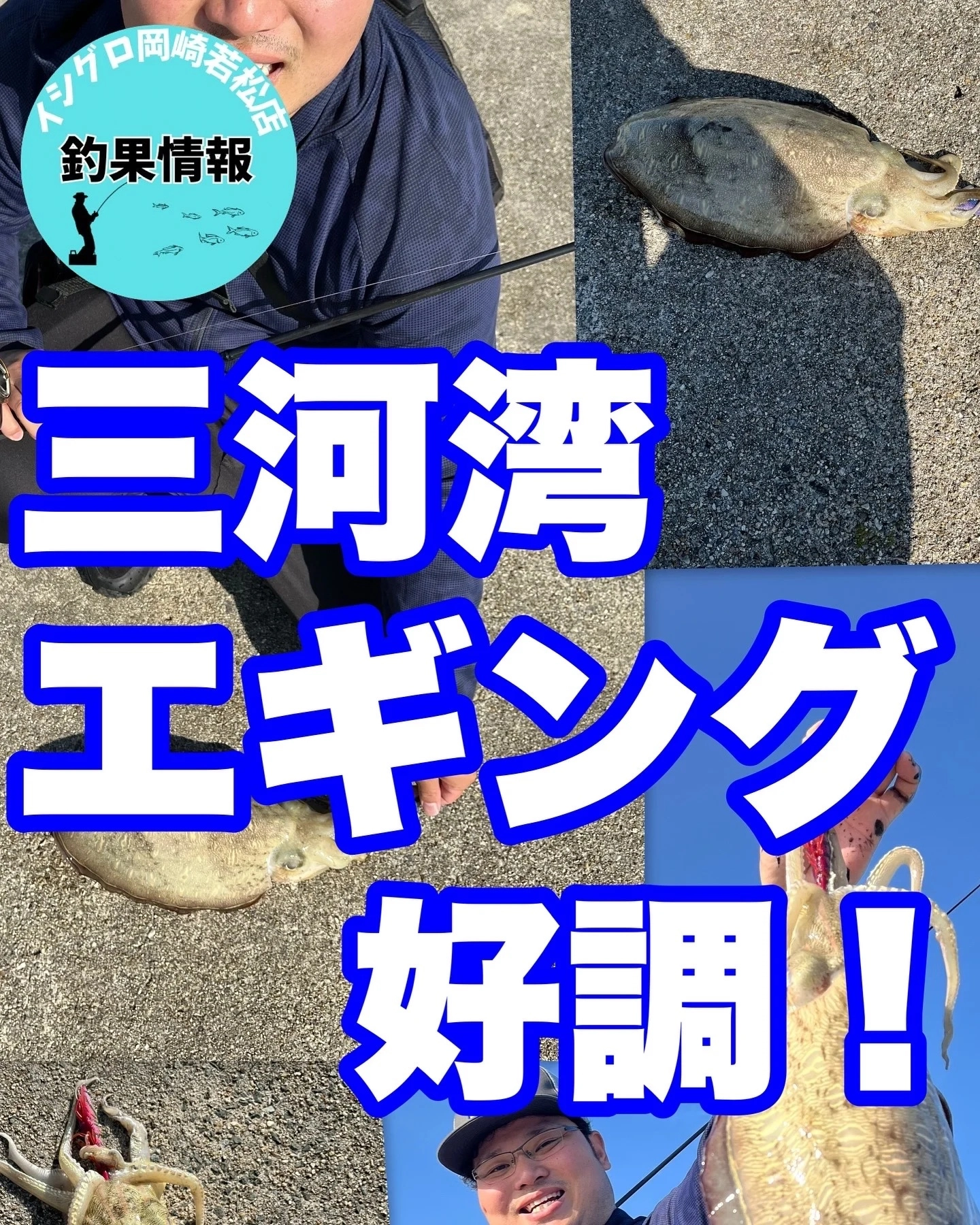 【コウイカも！】三河湾エギング好調！【イシグロ岡崎若松店】