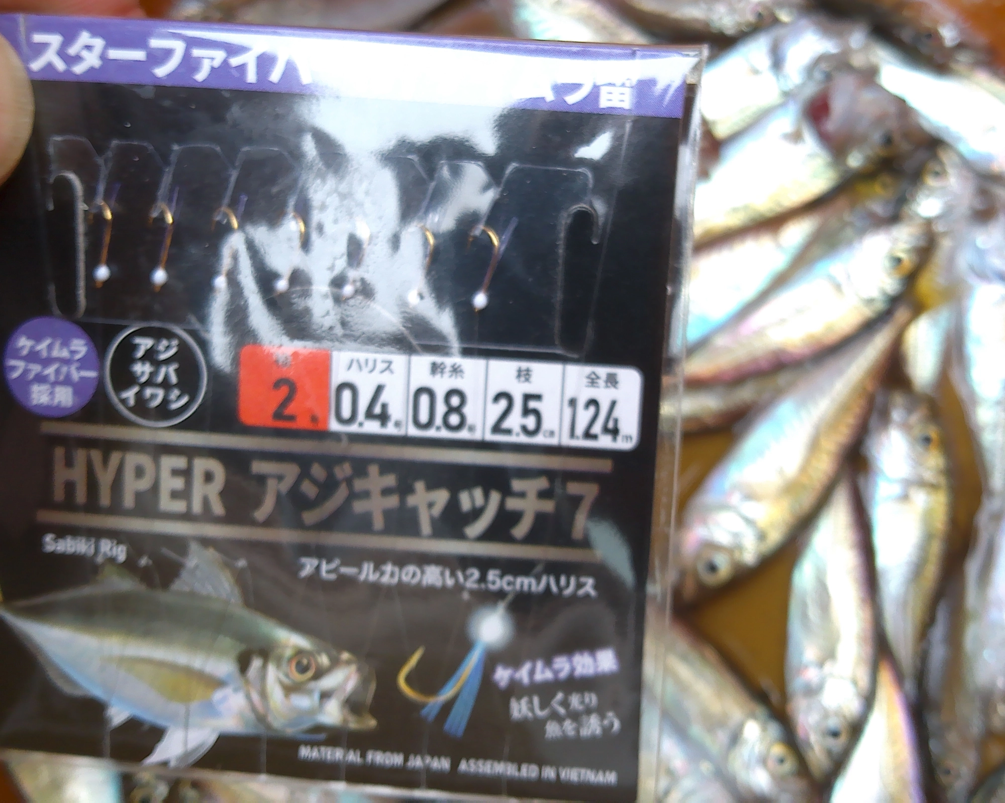 サビキ仕掛は『アジキャッチ7』を使いました。糸が細くて絡まってしまうとほどくのが困難なので予備は3枚くらい持っていくと安心。