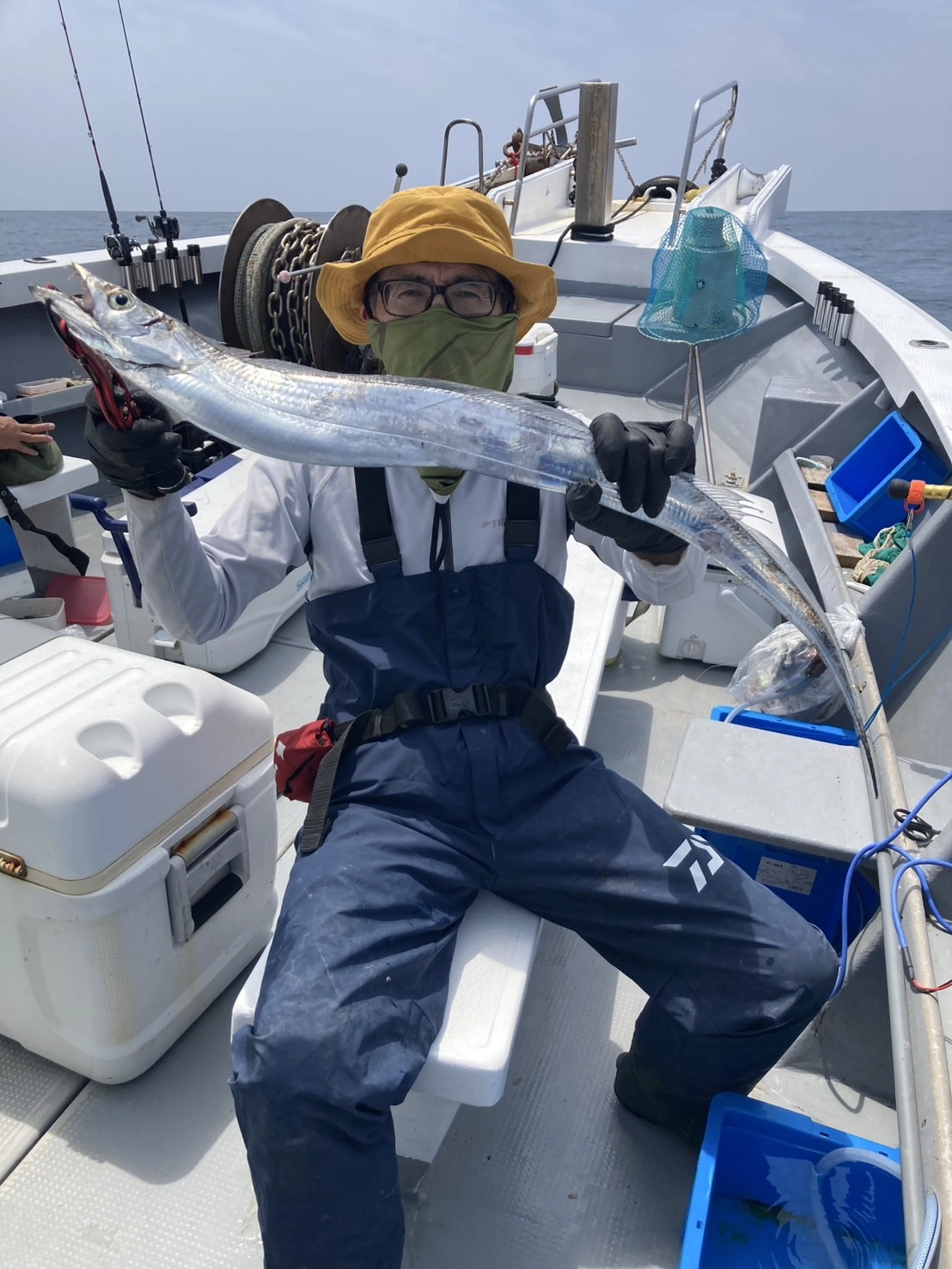 太刀魚良いサイズ上がっています！