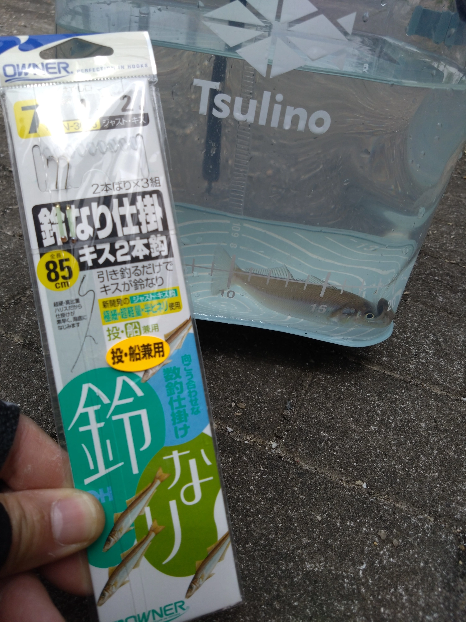 おすすめの仕掛けはコチラ！吸い込みの良い「キス専用針」で小物でも掛かりやすいです