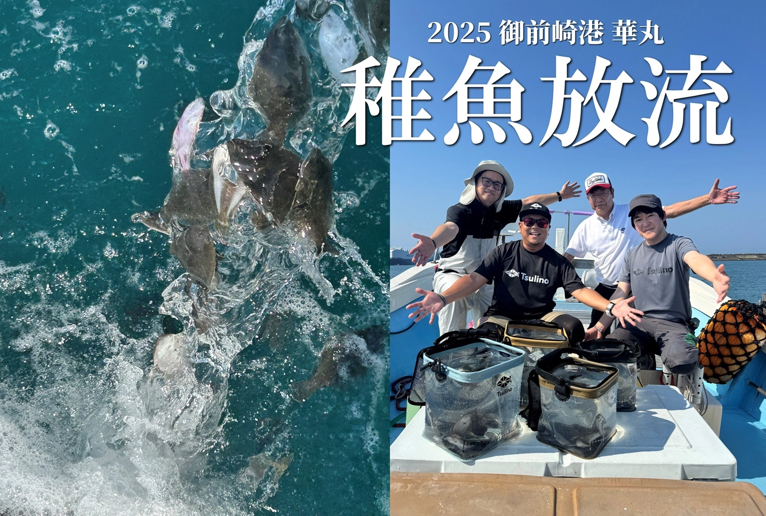 【Tsulino×放流活動】2025御前崎沖へヒラメの稚魚放流