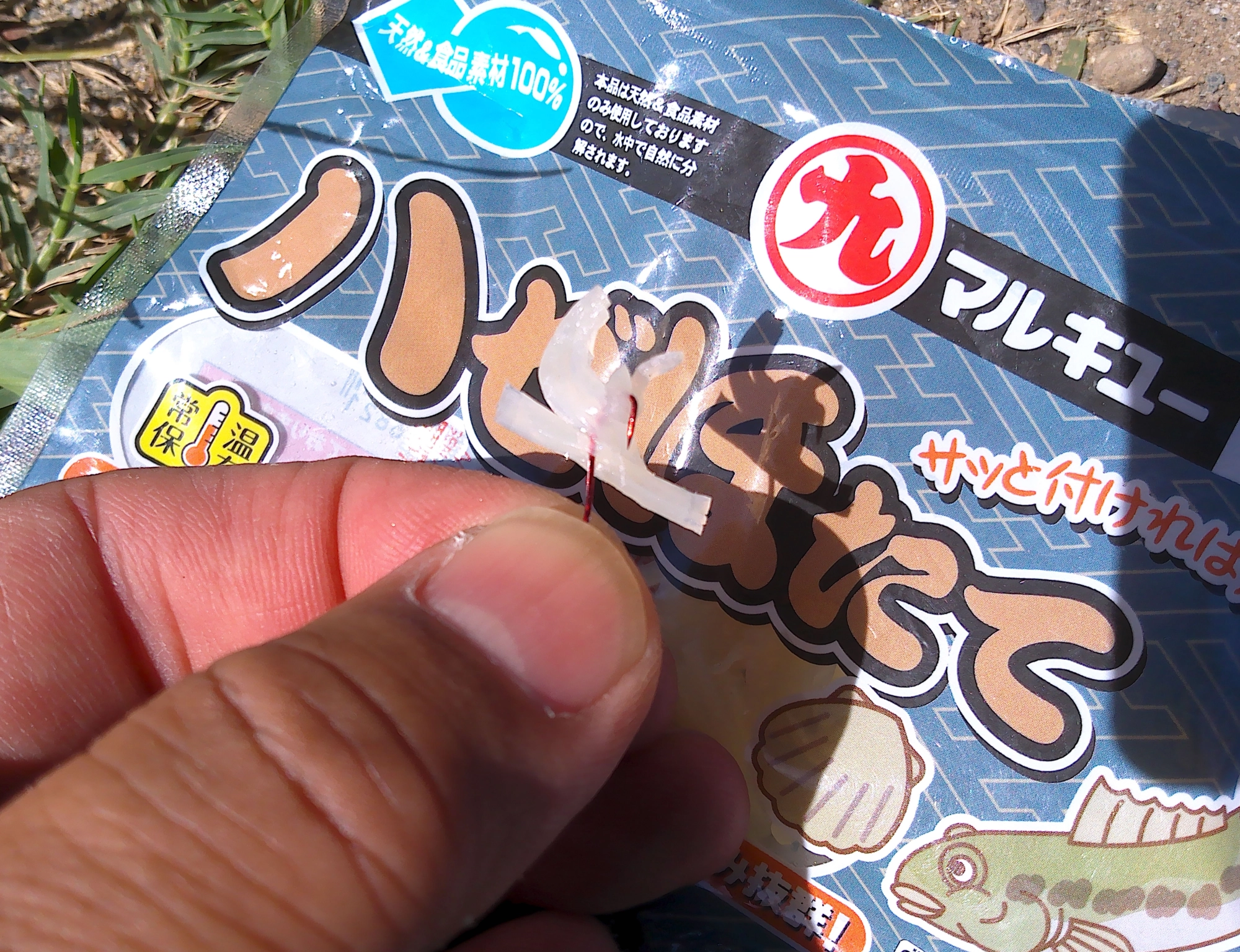 今回は『ハゼほたて』を使いました。虫エサがどうしても『無理・・・』という方でも大丈夫、貝柱の繊維を針に引っ掛けて使います。