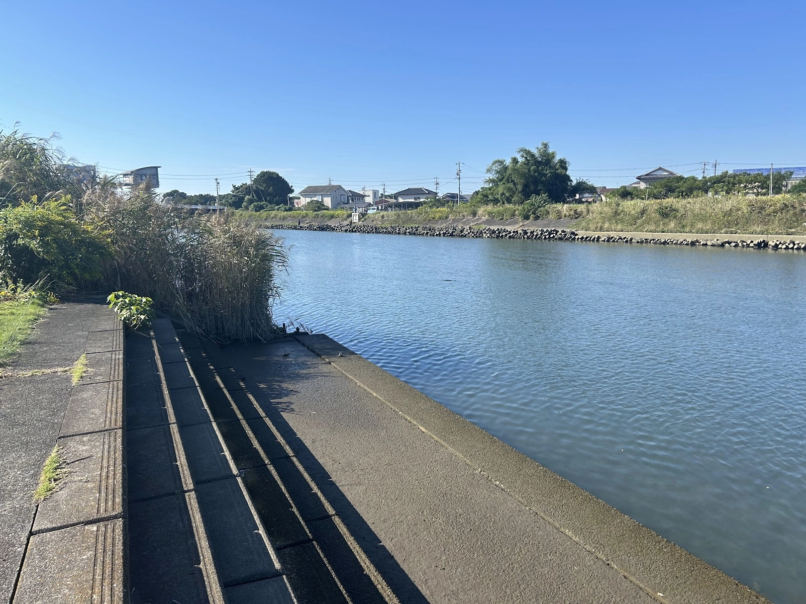 中下流域エリア