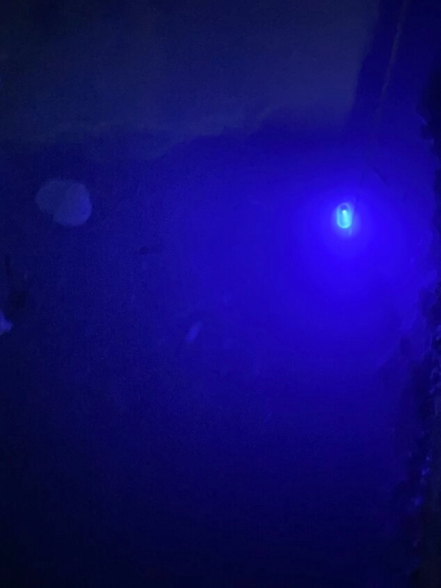 集魚灯、集魚ライトは必須！自分だけのポイントを作ることができ釣果に差が出ます。