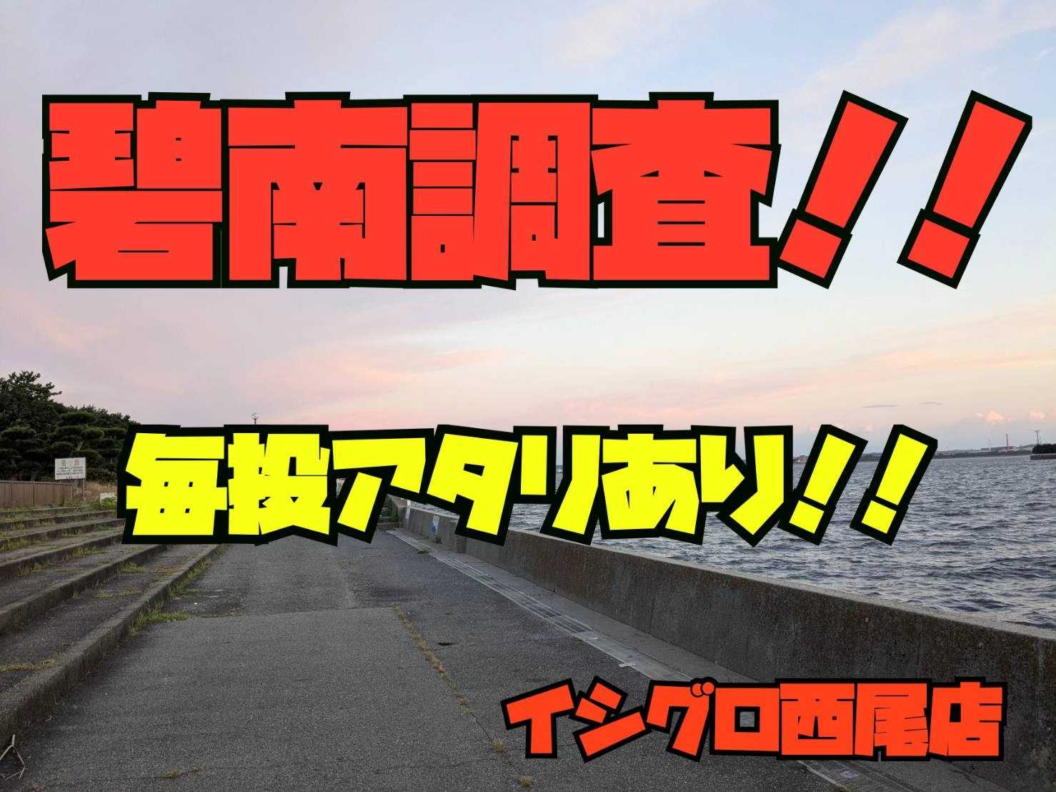 碧南調査