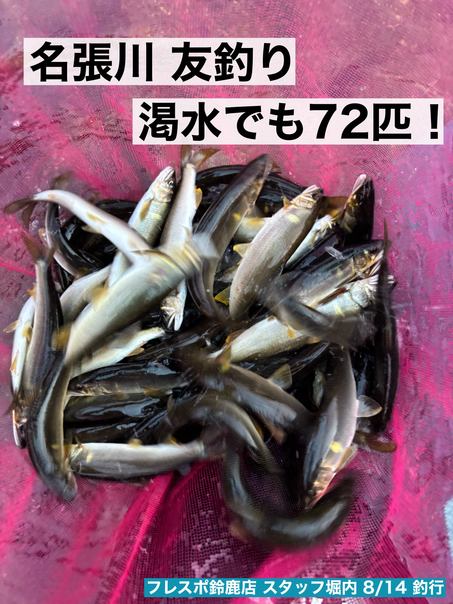 21cmで揃ってます。
