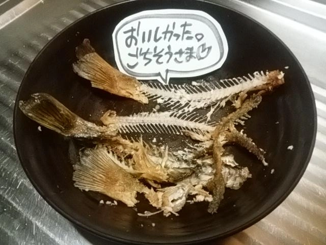 ピラニアかな
