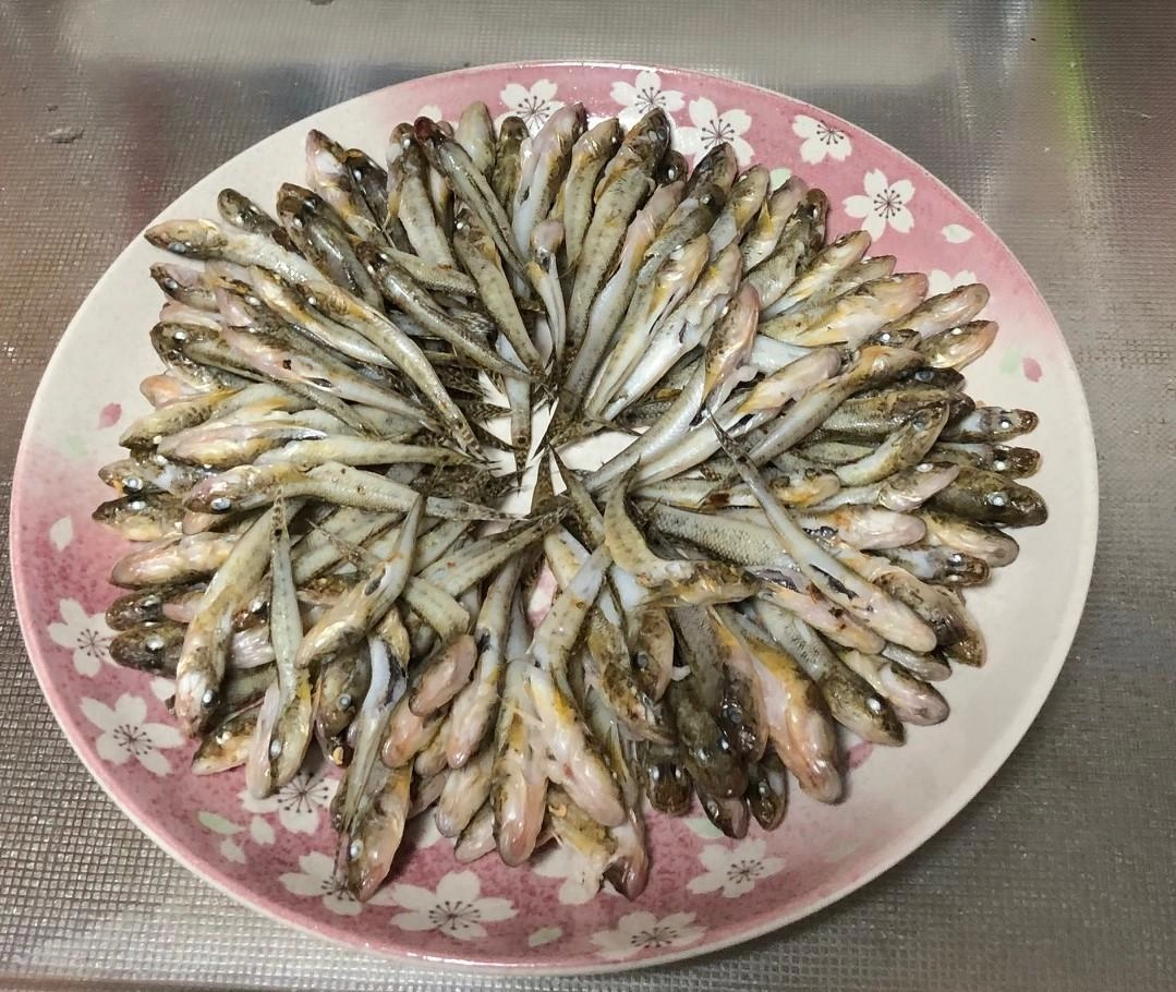 下処理
1日目:塩水付けして一夜干し
2日目:焼いて一夜干し(写真状態)
3日目:焼きハゼ・佃煮へ