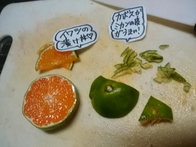 柑橘系