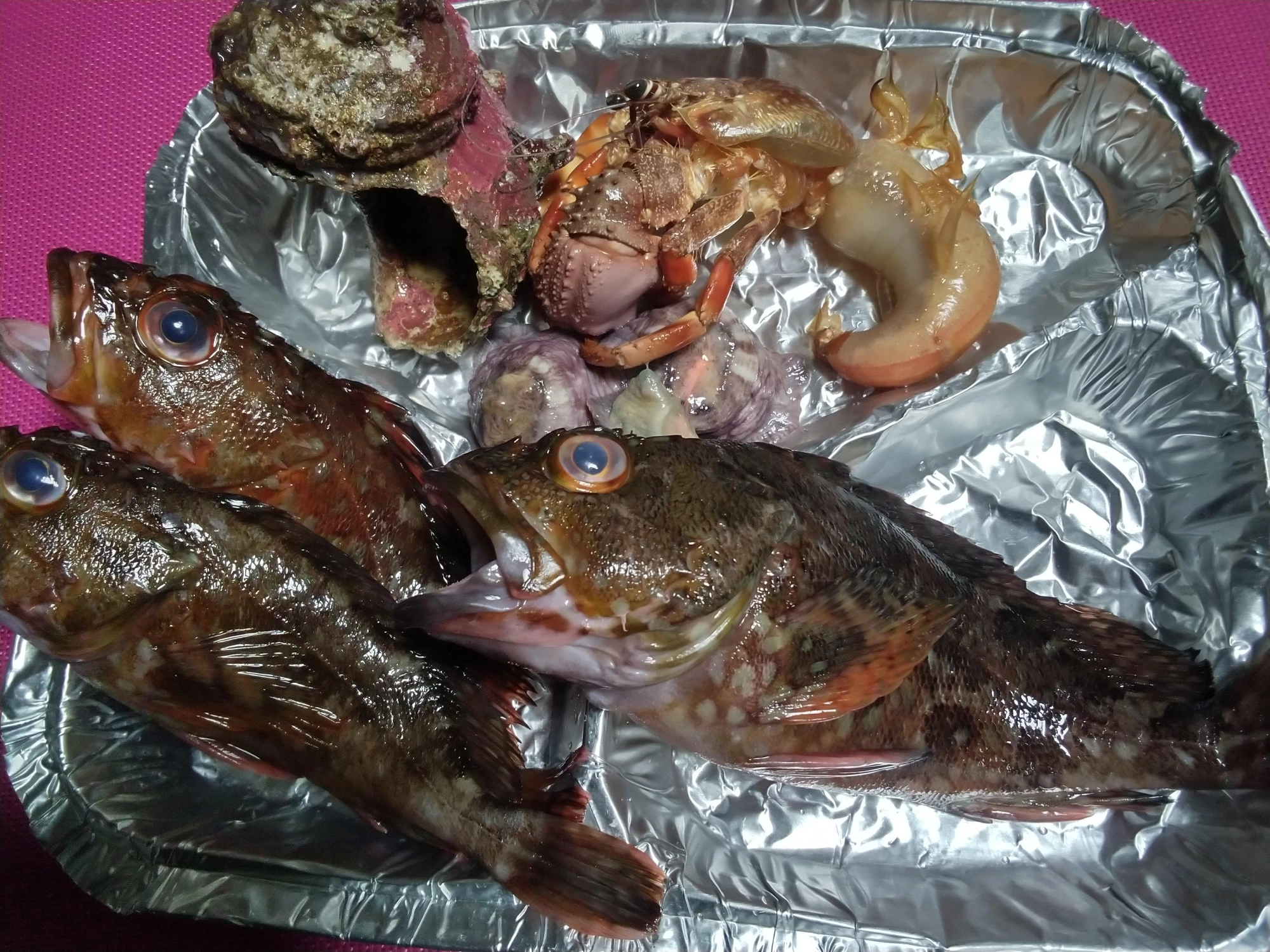 カサゴは鱗、内臓、エラを取り除き水気をタオルで拭きます。ヤドカリは引き抜いてまるごと蒸します。清蒸魚はさっぱりした中華です。油をよく熱し、あまりかけすぎないのがコツです。白髪葱や生姜の良い香りと白身のカサゴはとても美味しい。味の決めてはオイスターソースベースのタレです。好みで塩や胡椒を。また黒酢につけても美味しいです。簡単ですのでぜひお試しください。