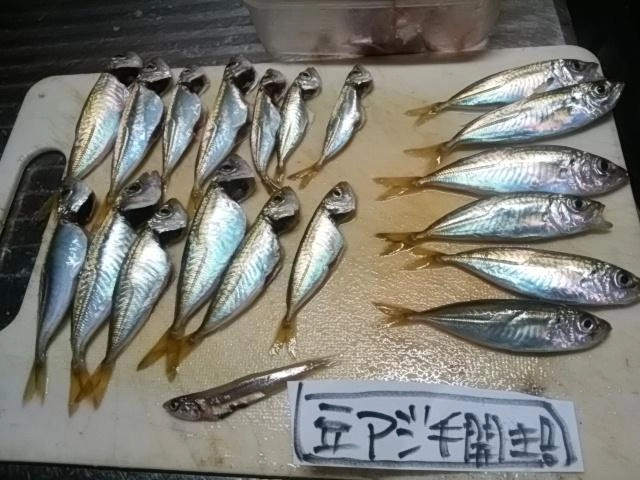 手開き