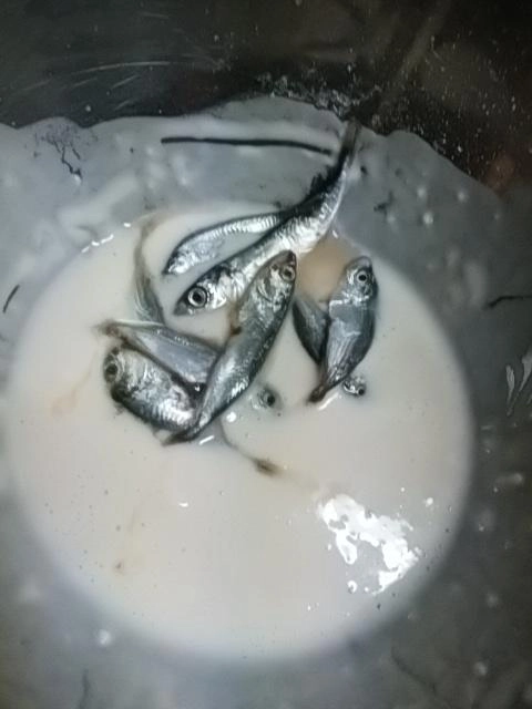 天粉