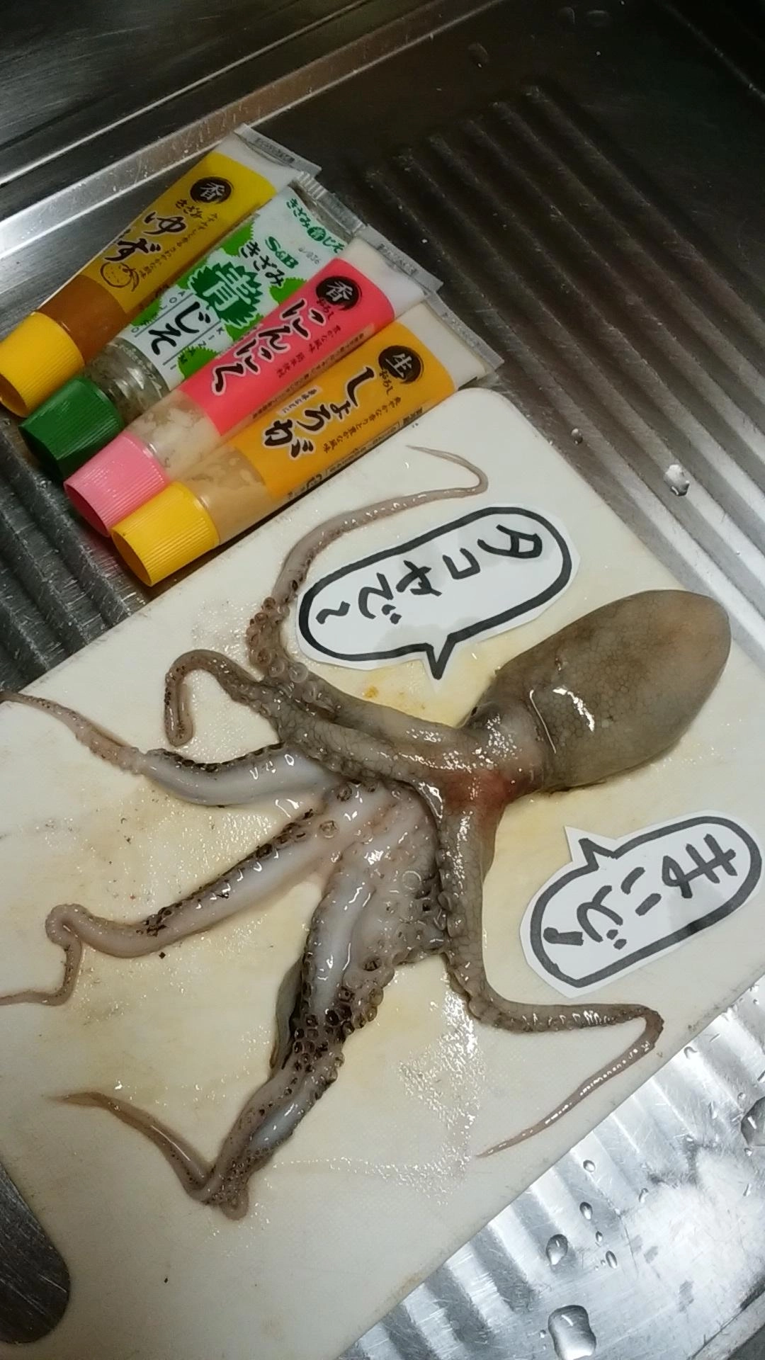 タコタコゲット！もらい物☆