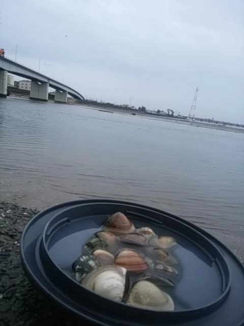 貝好き