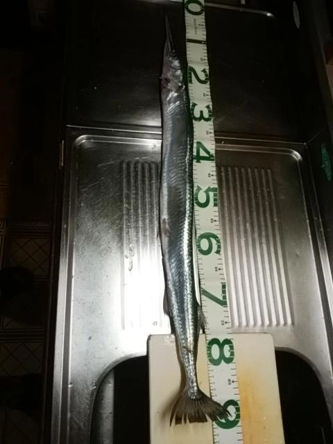 デカい