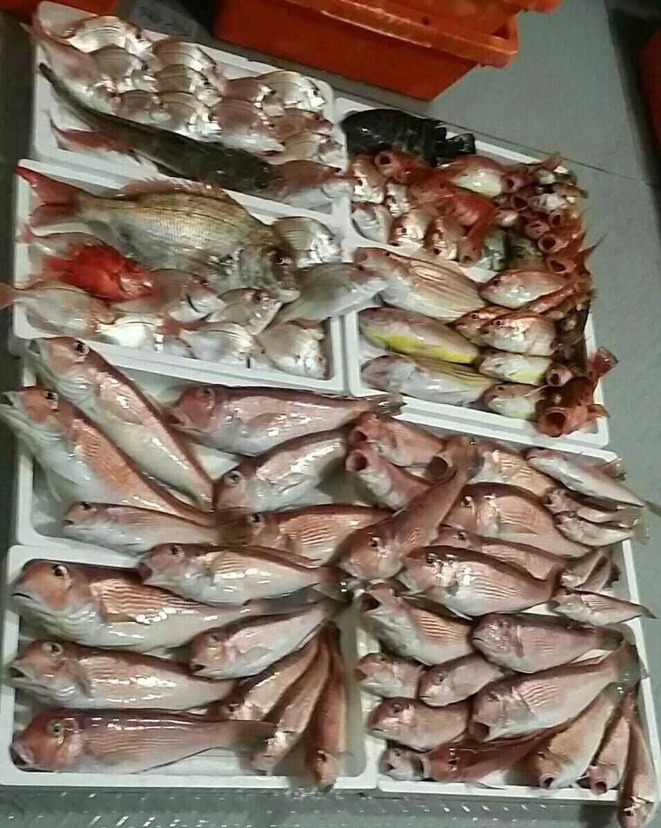 中深場魚礁五目
これからの時期
凪あれば!
