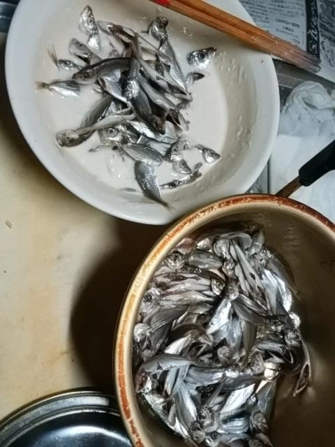 天
