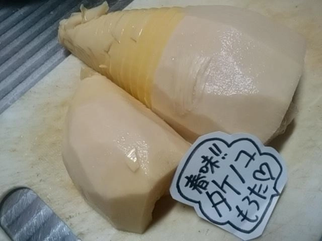 タケノコ