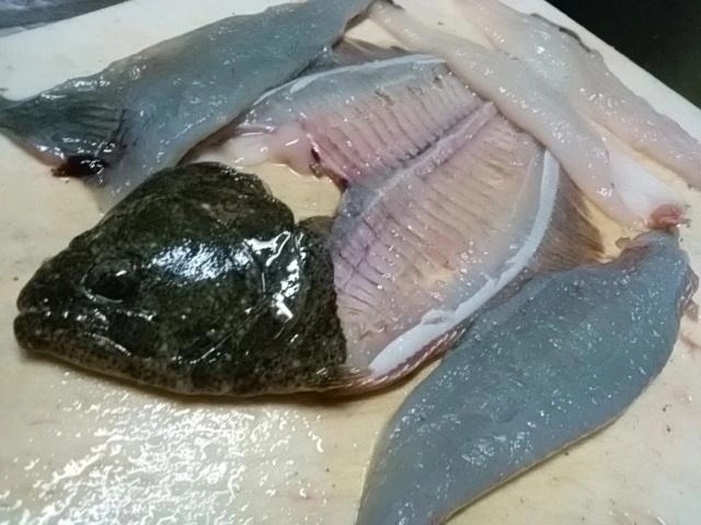 ヒラメじゃ