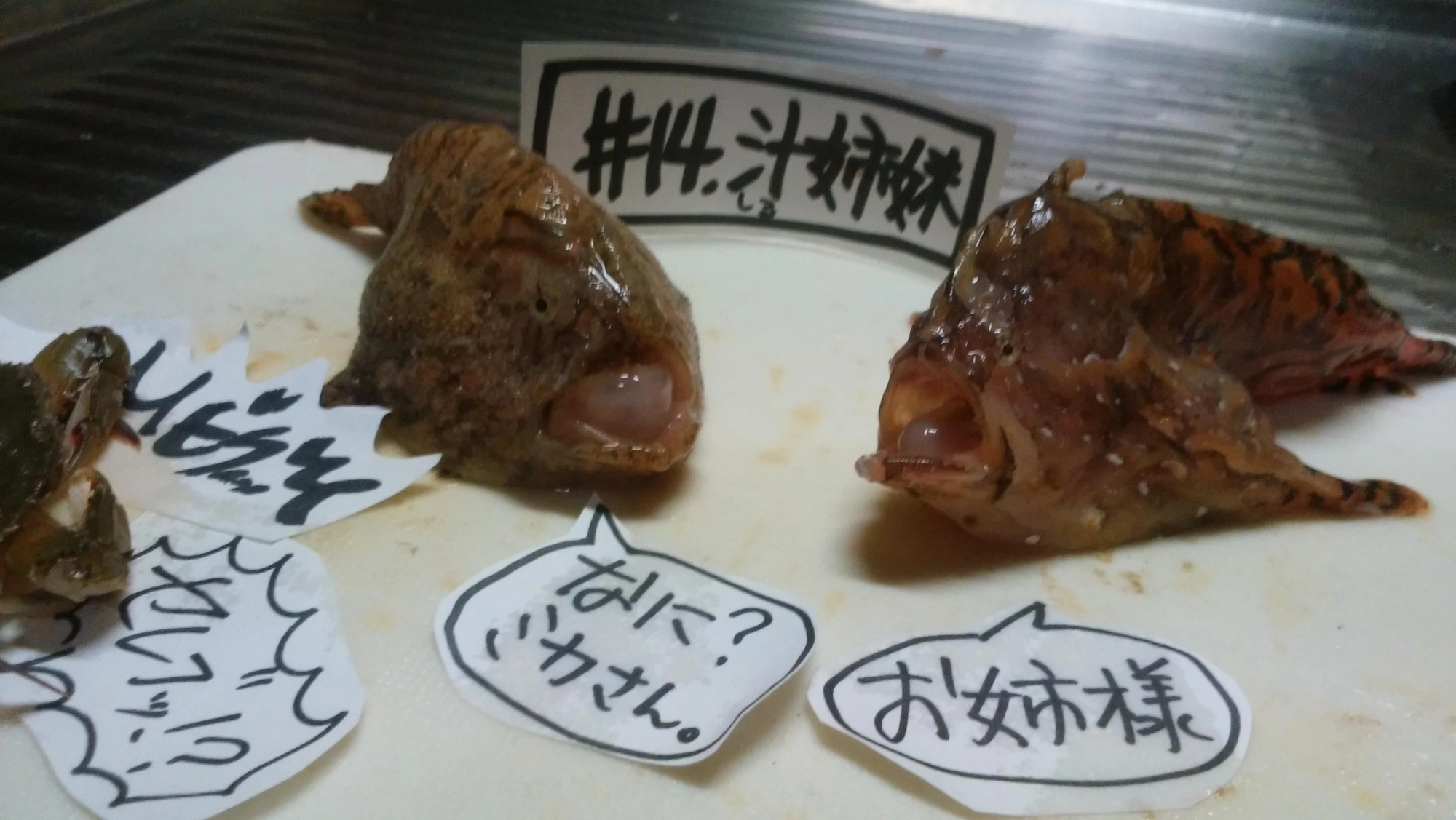 かわいい?まじ?