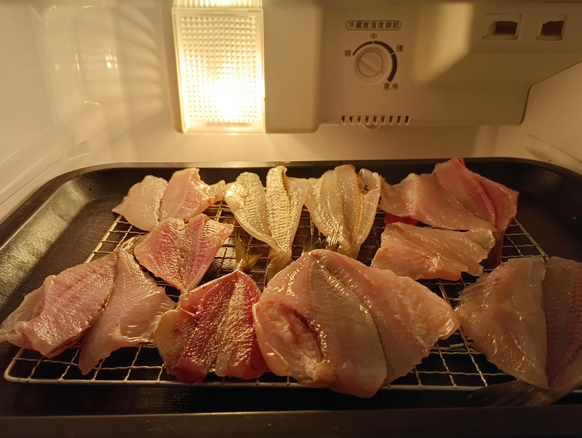 冷蔵乾燥