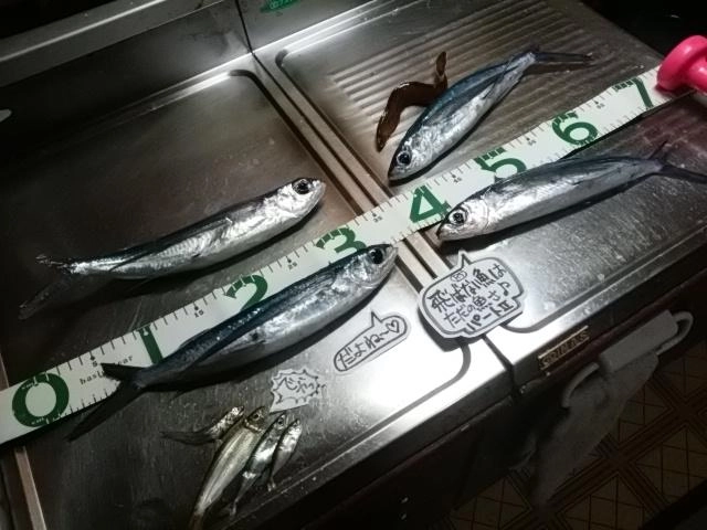 デカい