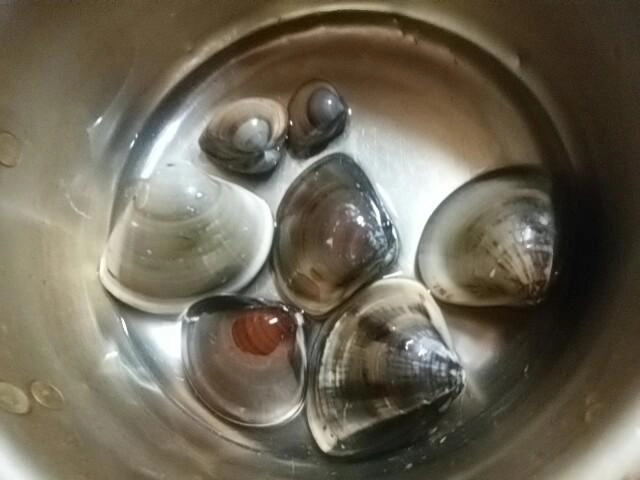 海水で砂抜き