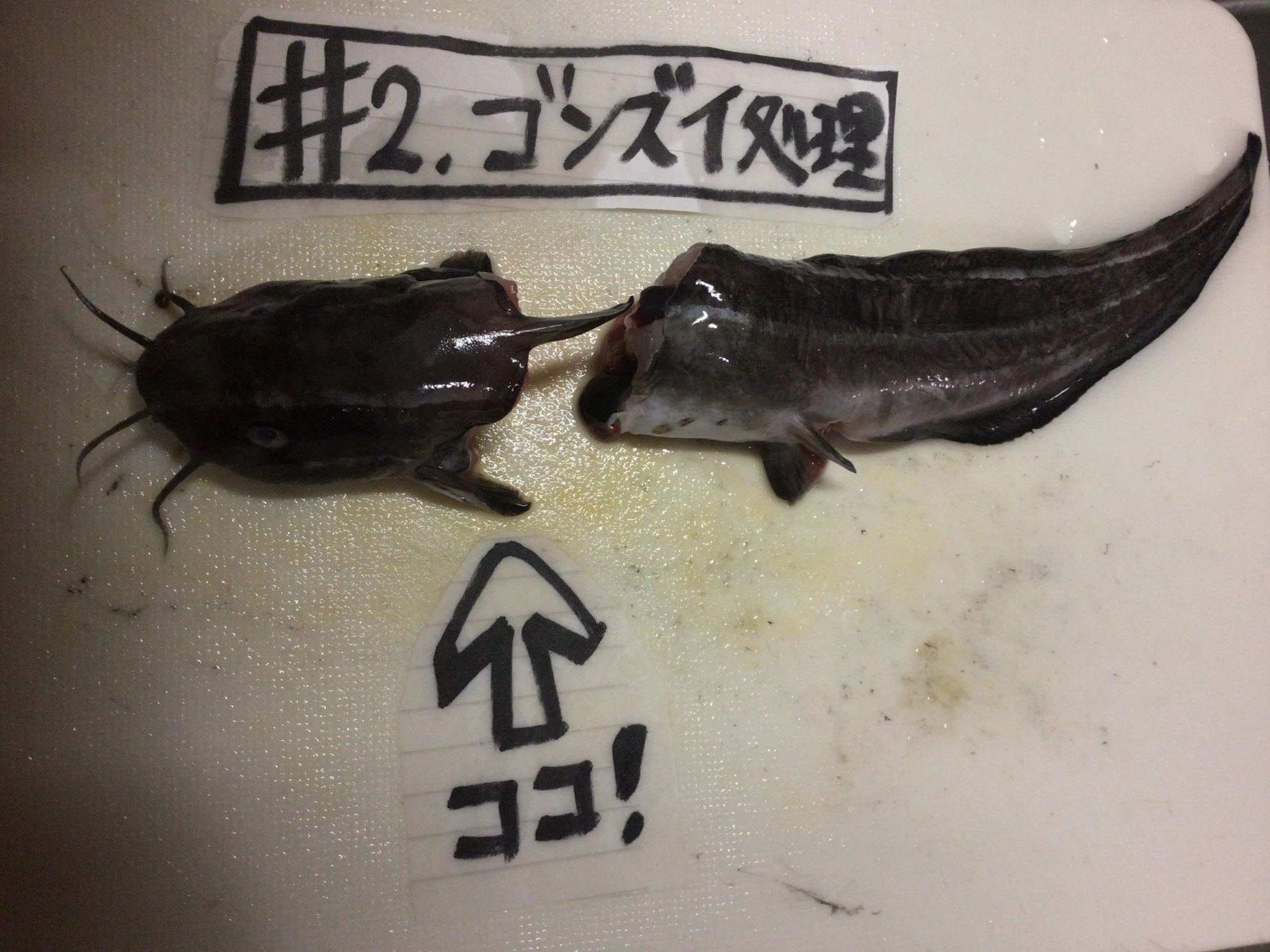 前の絵のリアル版デス❗️
