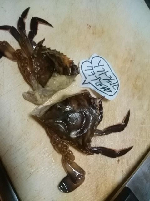ヒデブ