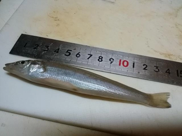そこそこ。