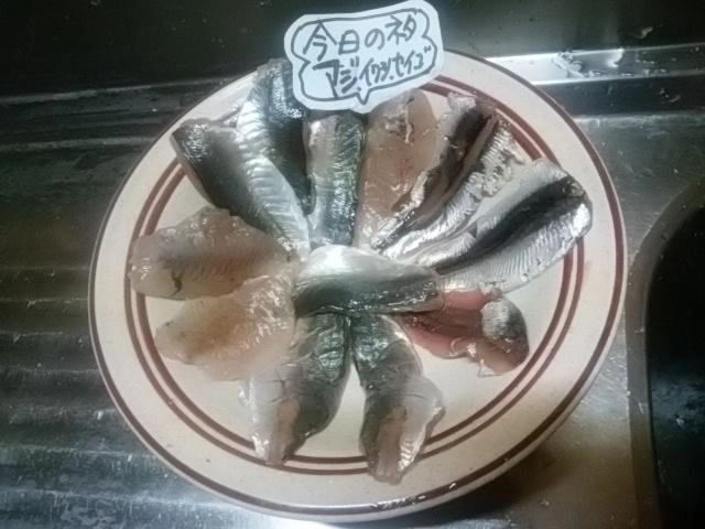 ネタ
