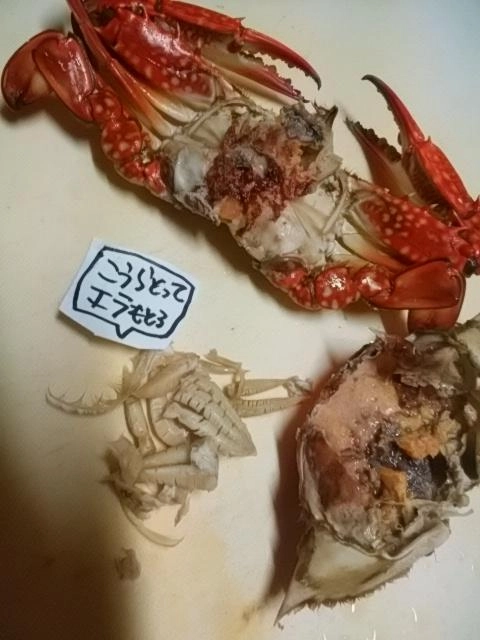 外す