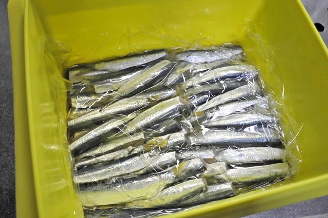 最初の漬け込みはお酢のみで。1日冷蔵庫で寝かせます。ラップで魚が浮かないように落とし蓋をすると良いです。
