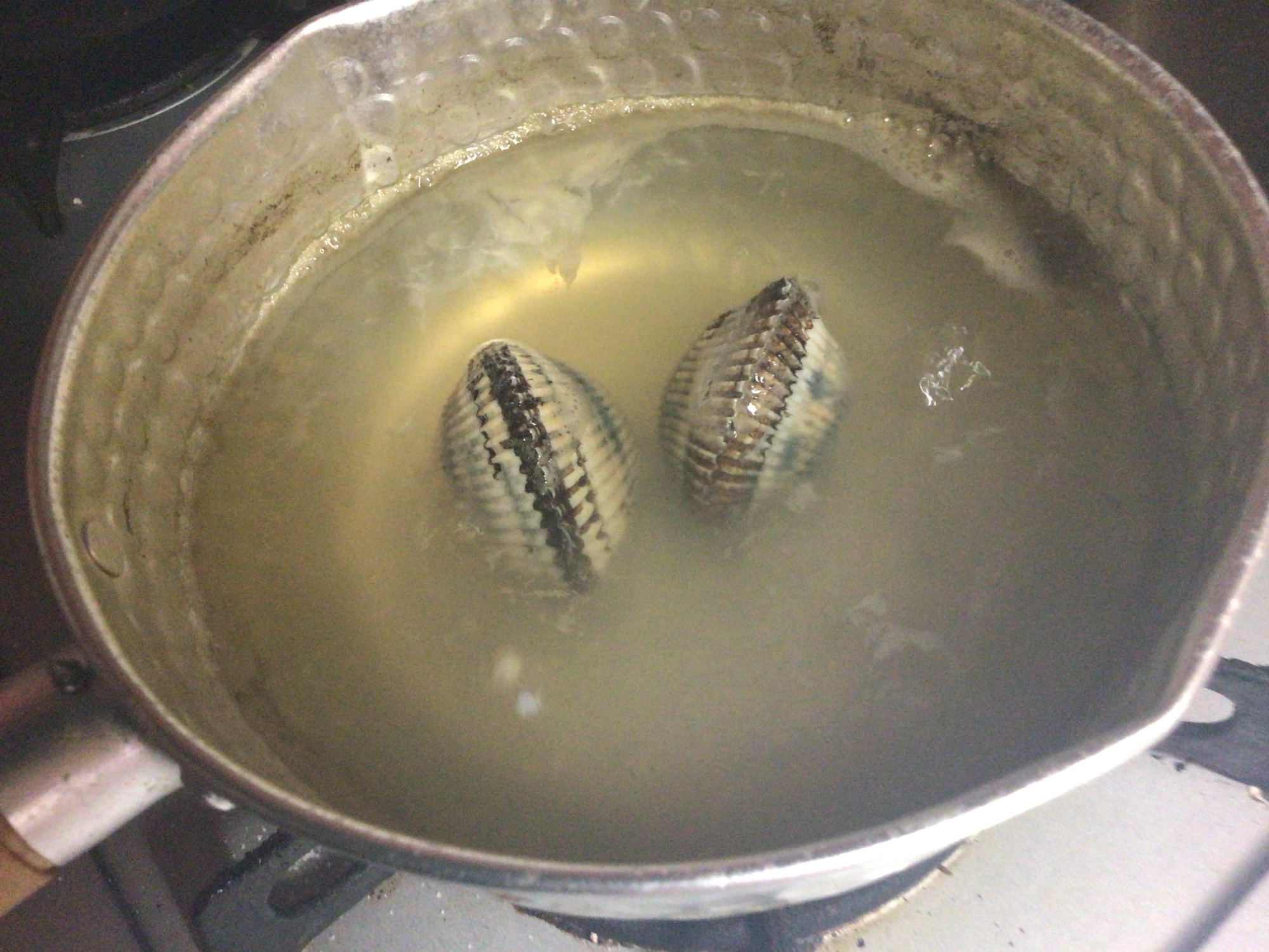 生は怖いし、殻むきできないので茹でます❗️予想外に殻が開かないデス❗️(T◇T)/アベシッ