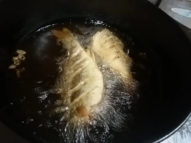 揚げ!
