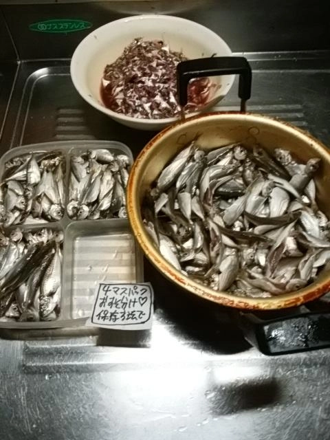 タッパ冷凍