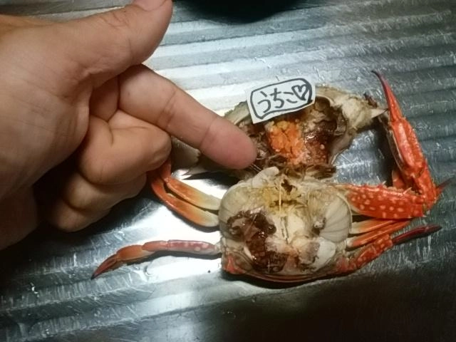 卵巣