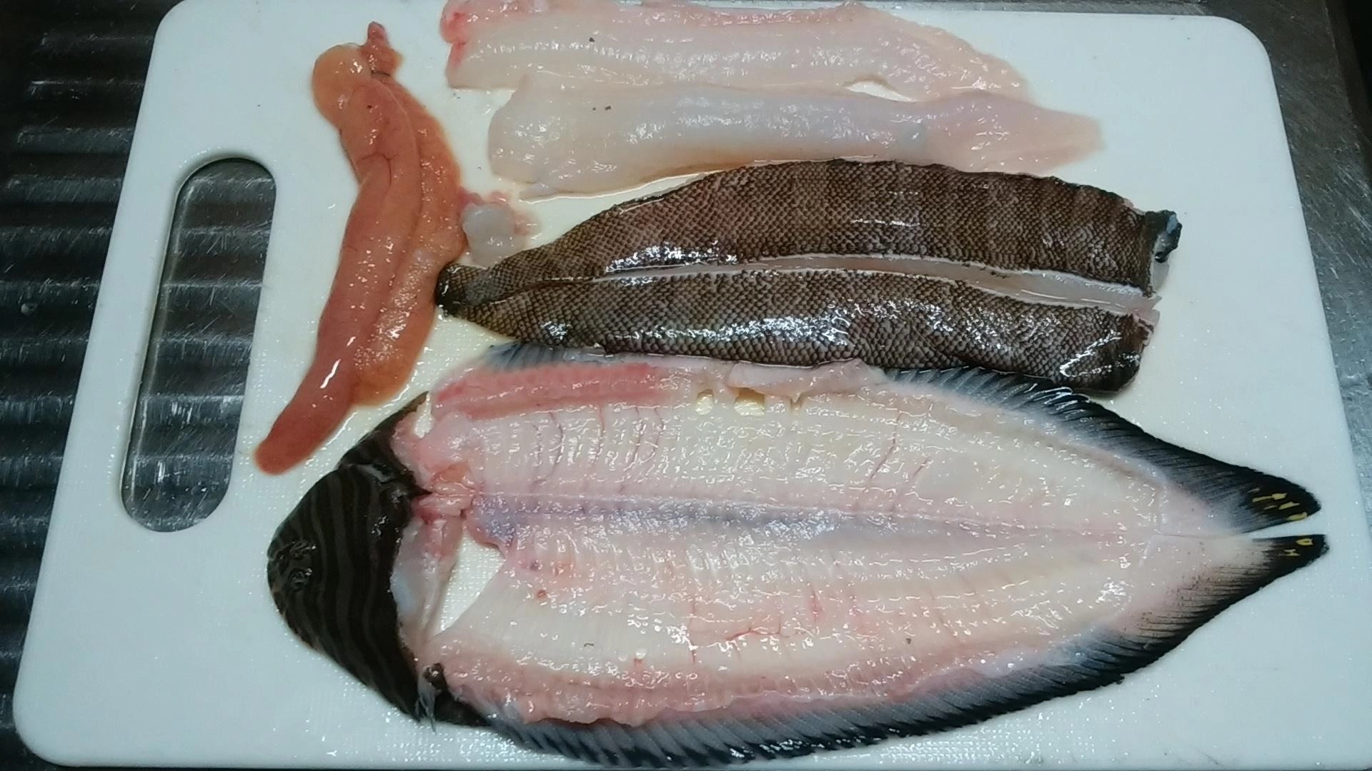 ヒラメゲット！5枚おろしです!