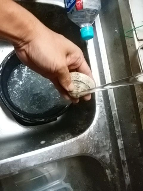 殻洗う