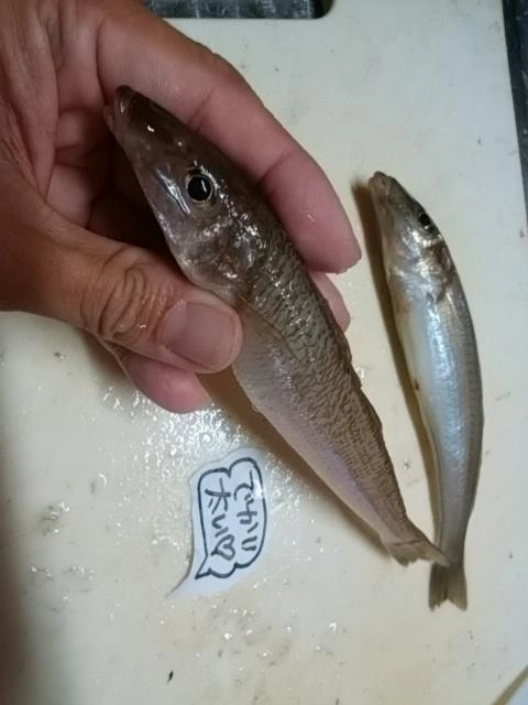 デカ太